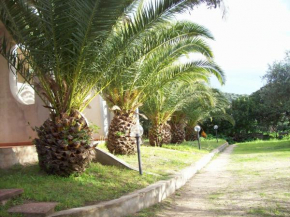Villa del Palmeto Badesi